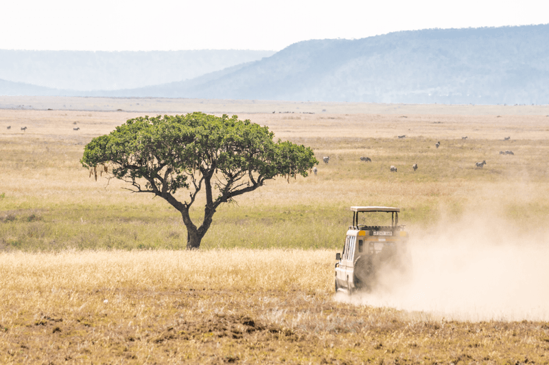 Day 8: Kruger National Park - May 5, 2024