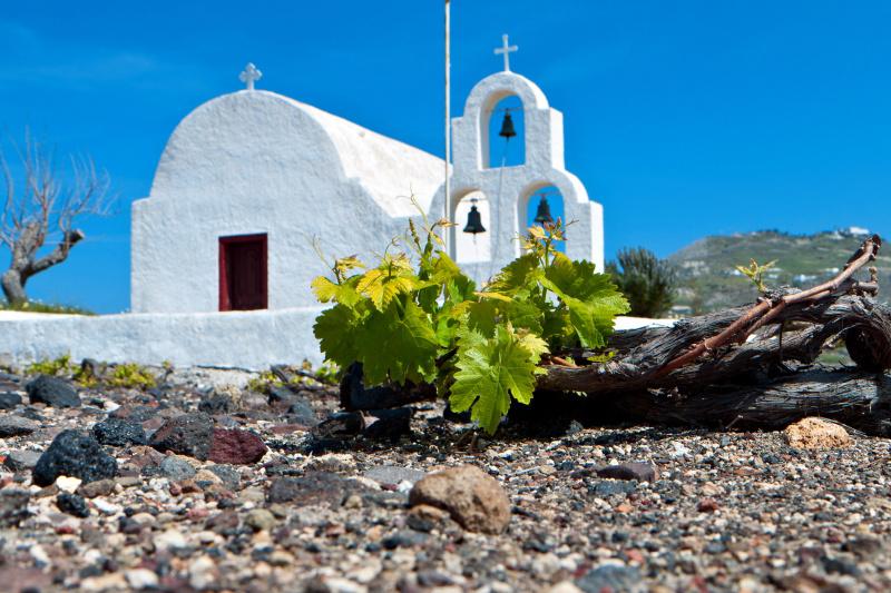Day 6: Santorini tour + wine tasting experience thumbnail