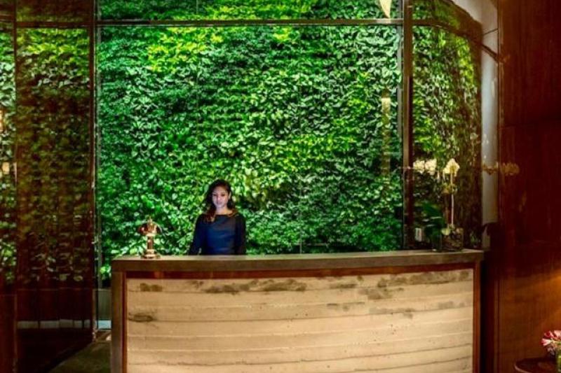 The step-free reception area has marbles floors and a curved reception desk. There is a living wall of plants behind the desk.