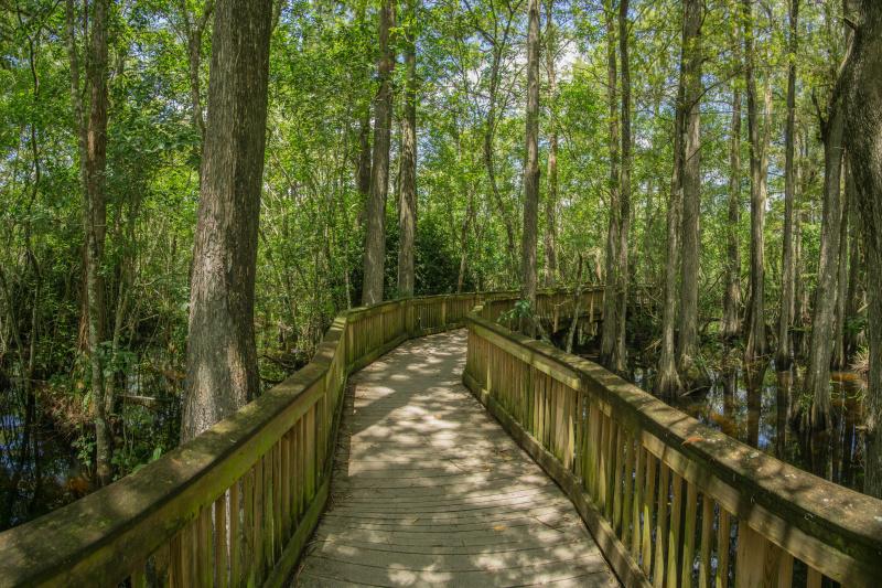 One of the park's boardwalks