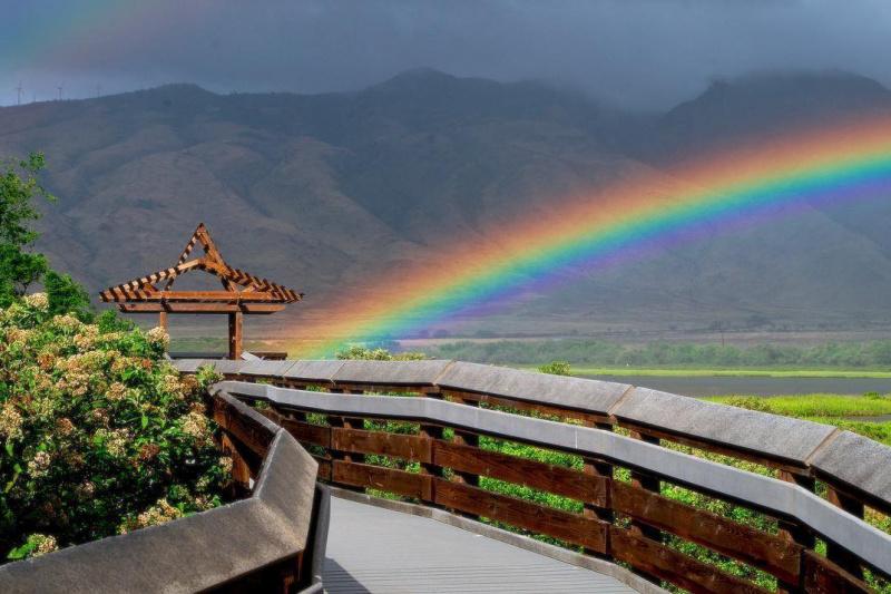 A rainbow reaching up from the boardwalk shelter at Kealia Pond National Wildlife Refuge.