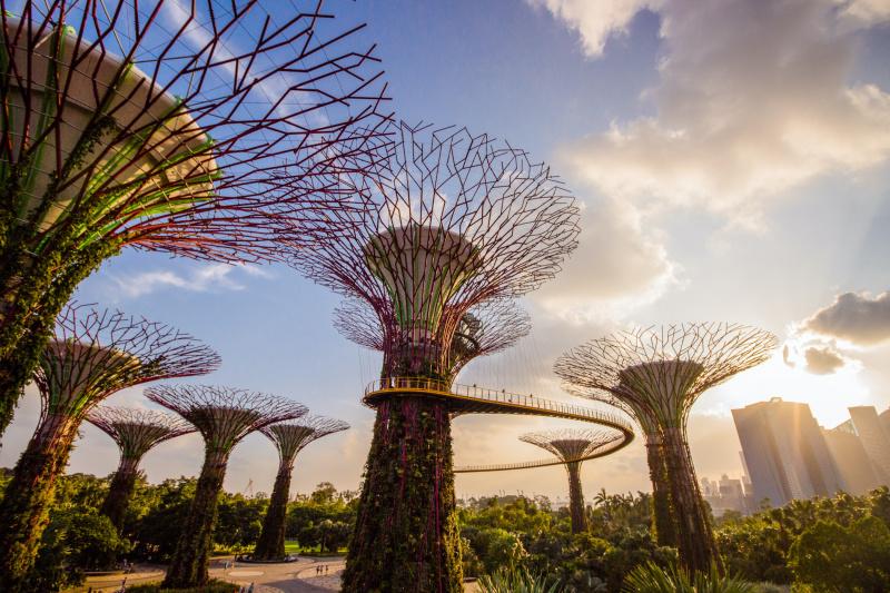 Giant metal trees at Gardens by The Bay