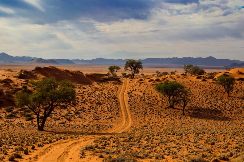 A beautiful desert landscape, with an unpaved track leading towards the distant mountains.