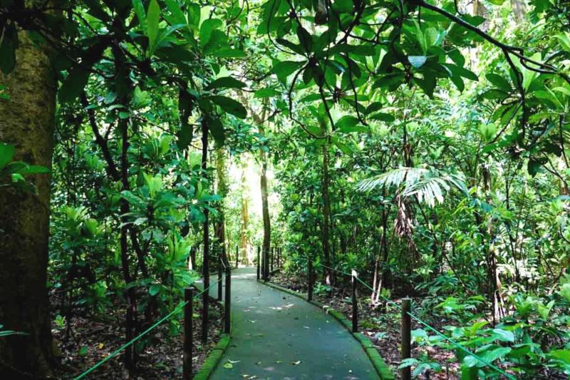 The accessible pathway through the jungle