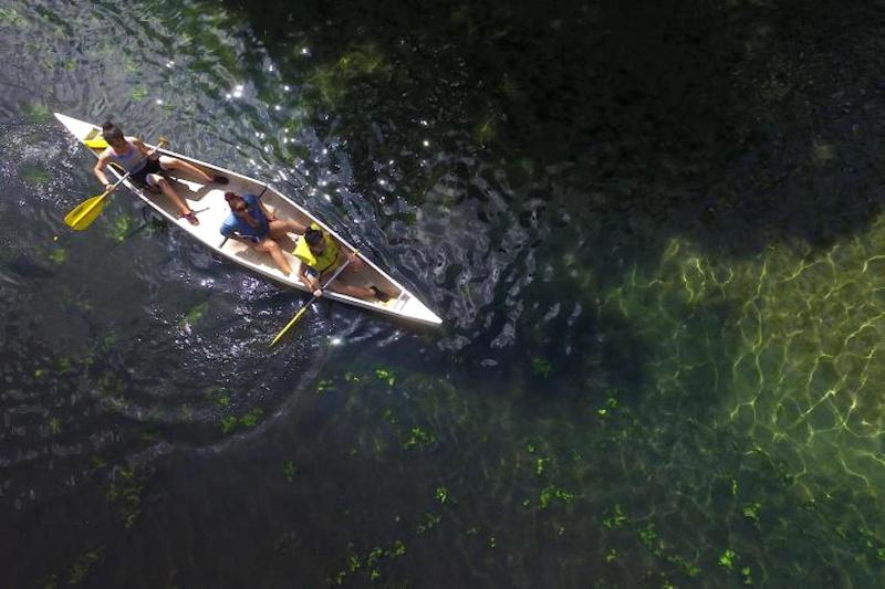 Have a canoe trip at the tranquil waters of lake Wekiwa.
