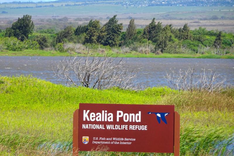 Kealia Pond National Wildlife Refuge