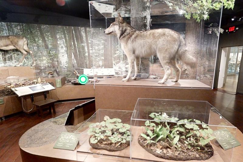 Exhibits at the museum