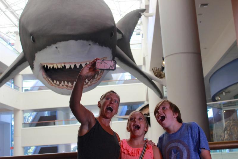 Selfie with a shark exhibit.