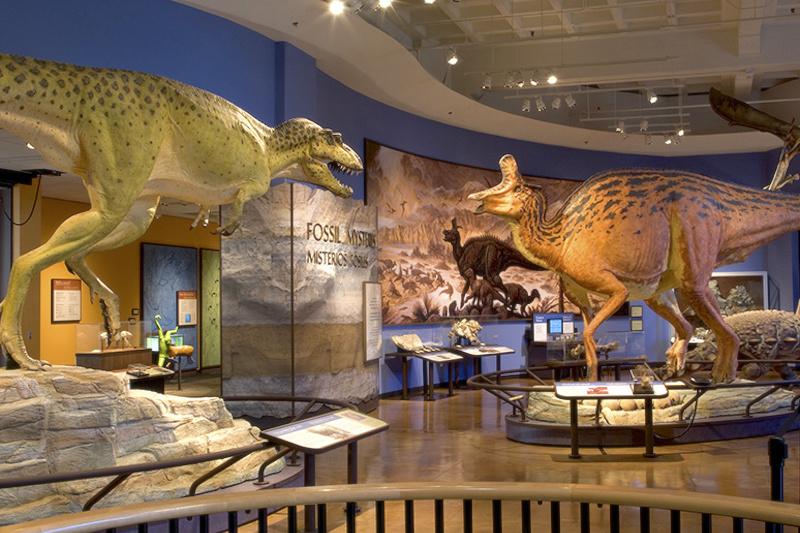 Dinosaur exhibit